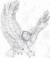 Eagle Coloring Bald Pages Kids Drawing Realistic Printable Soaring Flying Color Template Mandala Head Eagles Line Harpy Sketch Colouring Adult sketch template