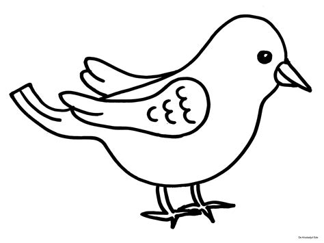 vogeltjes kleurplaat vogels