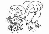 Geboorte Kleurplaat Stork sketch template