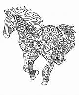 Zentangle Cheval Coloriage Adults Imprimer sketch template