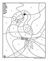 Toucan Rainforest Numbers Woo Jr Woojr sketch template