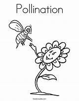 Coloring Pollination Crocus Pages Designlooter Color Getcolorings Drawings 35kb sketch template