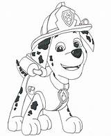 Paw Patrol Coloring Marshall Pages Drawing Print Colouring Printable Sheets Draw Sky Color Sheet Birthday Colorare Da Firetruck Template Pdf sketch template