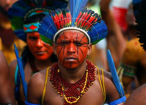 a world redrawn virus a genocide threat for amazon warns salgado