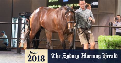 D Arcy Shows The Best Of Australian Breeding All In Five Minutes