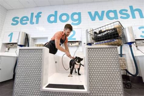 petsmart opens   petsmart pet spa store  innovative retail