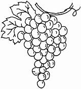 Grapes Cluster Coloring sketch template