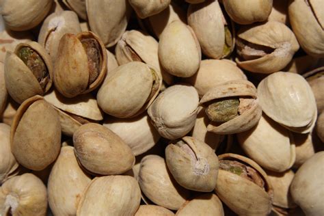 pistachio nuts  high resolution photo  public domain