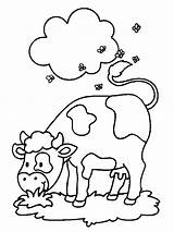 Mucche Disegni Animali Colorare Preleva Tuo sketch template