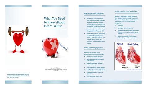 heart failure pamphlet  csusm issuu