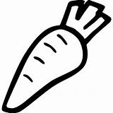 Food Carrot Outline Drawn Vegetable Hand Healthy Icon Svg Cooking Vegetables Carrots Diet Organic Eggplant Eggplants Outlined Vegetarian Shareicon sketch template