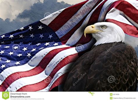 american flag and eagle royalty free stock images image