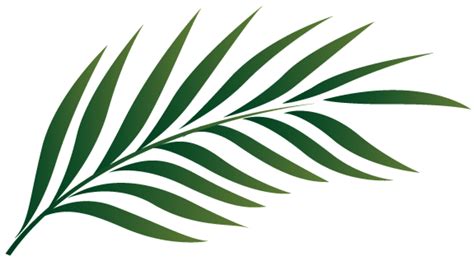 printable palm leaf outline diy tropical leaves art  crafts