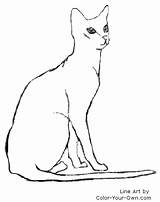 Sitting Cat Drawing Silhouette Dog Pretty Getdrawings Sketch sketch template