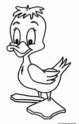 Pages Baby Colouring Duck Coloring Duckling Kids Ducks Print Printable sketch template