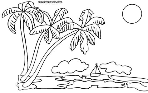 coloring pages  palm trees coloring home