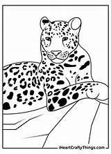 Leopards Iheartcraftythings sketch template