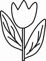 Coloring Pages Tulip Color Kids Print Colouring Tulipe Comments Popular Coloringhome sketch template