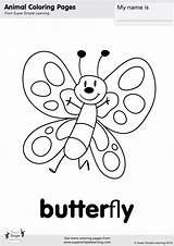 Butterflies Supersimple Apples sketch template