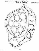 Turtle Preschool Crafts Color Dotted Cut Turtles Pages Pattern Kids Pad Lily Craft Pond Activities Life Printable Line Outline Template sketch template