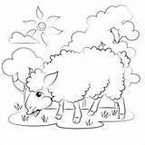 Ausmalbilder Schafe Hirten Ausdrucken Malvorlagen sketch template