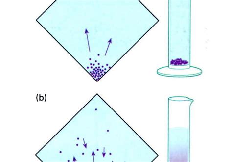 biology cells diffusion