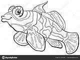 Mandarin Fish Coloring Life Sea Cartoon Stock Illustration Drawing Depositphotos Getdrawings Izakowski Vector sketch template