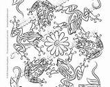 Coloring Pages Mandala Frog Template sketch template