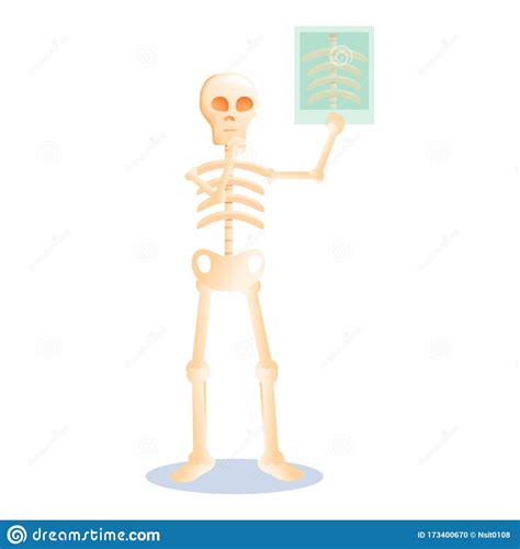 halloween skeleton icon cartoon style stock vector