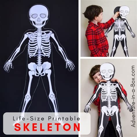 life size printable skeleton printable word searches
