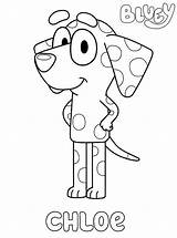 Bluey Coloring Pages Chloe Printable Dalmatian Kids Coloring4free Film Tv Coco Snickers Fun Mackenzie Related Description Chilli sketch template
