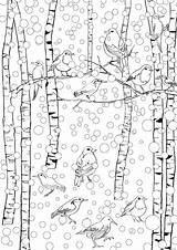 Hiver Anti Birds Coloriages Ausmalen Invierno Scene Coloring4free Neige Winterlandschaft Russie Erwachsene Adulte Ausmalbilder Coloringtop Schnee Oiseaux Sous Coloringhome Idiomas sketch template