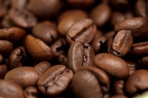 1024px Coffee Beans The Coffee Bean Menu