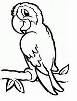 Loro Parrot Loros Animado Perroquet Facil Parrots Anipedia Clipartmag Coloringbay Colornimbus sketch template