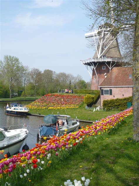 dokkum en omgeving  de bloei ondernemend netwerk noord oost