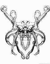 Octopus Coloring sketch template