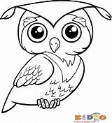 Coloringbay Owls Barred Perched sketch template