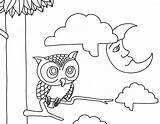 Coloring Night Pages Owl Printable Kids Owls Color Eyes Drawings Designlooter Morning Popular Remodel Line 1594 1240px 6kb sketch template