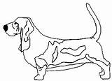 Razas Bernardo Basset Hound Laminas sketch template