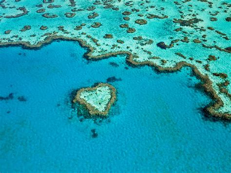 It Might Be The Gateway To Heart Reef But The Whitsundays Largest