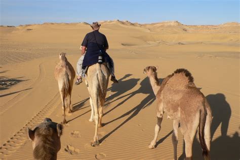 el dakhla oasis dakhla oasis     dakhla oasis deir el