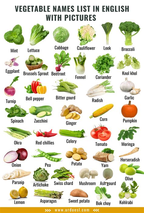 vegetable names  english  pictures