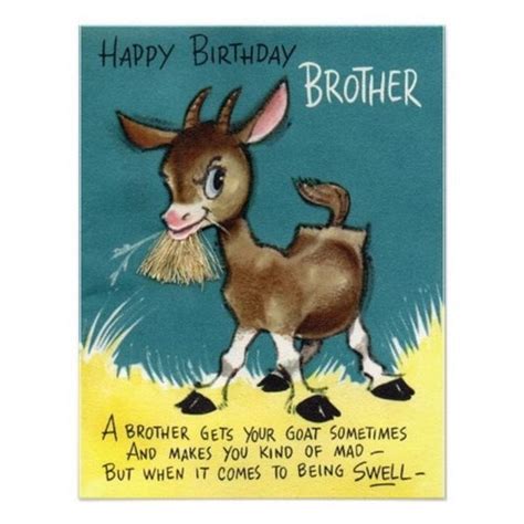 Happy Birthday Crazy Brother Wishes Wishesgreeting