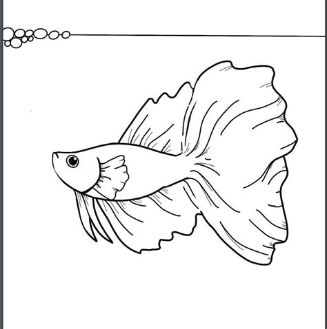 instant  coloring page betta fish  page  etsy