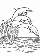 Dolphin Drawing Line Sea Animal Getdrawings sketch template