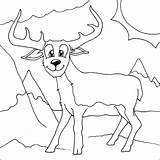 Deer Coloring Animal Printable Sheet Cartoon Pages Kids Education Advertisements sketch template