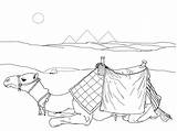 Coloring Kilimanjaro Mount Camel Designlooter sketch template