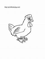 Hen Animals Coloring Kids Pages Printable Farm Color Cute Serious Looking Fun Will Getcolorings Drawings Printthistoday sketch template