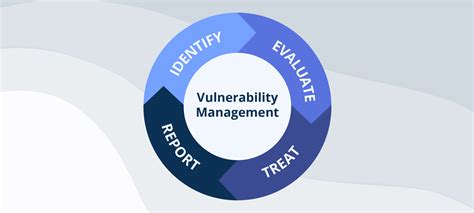 understanding  importance  vulnerability management avatao