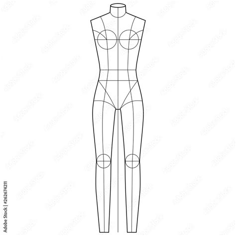 body template fashion flat technical drawing vector template stock